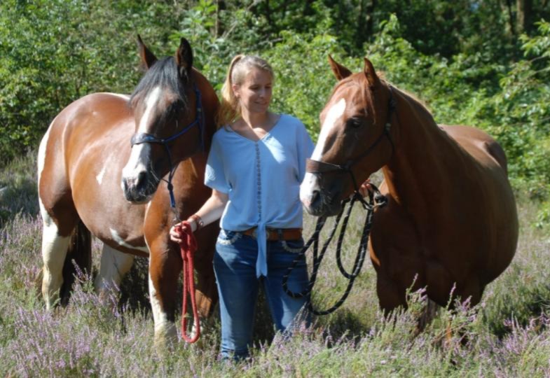 Ellen staat in de heide met haar twee paarden.